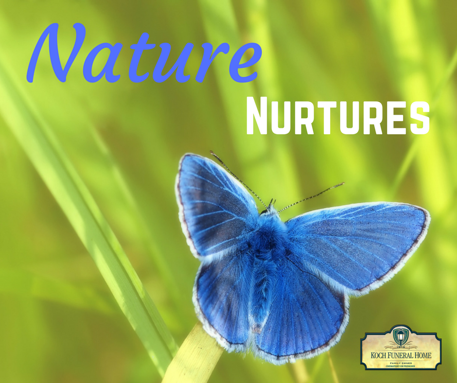 2018 - MM Blog - Nature vs. Nurture