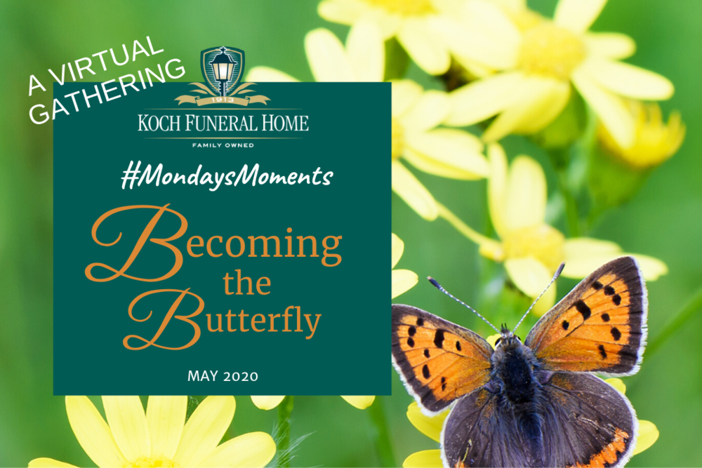 2020 - FB - May - MM Blog - Becoming a Butterfly