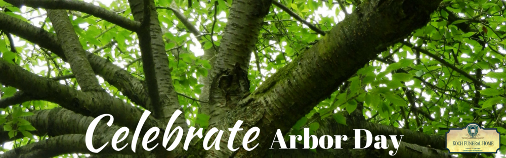2018 - News Banner - Celebrate Arbor Day Banner