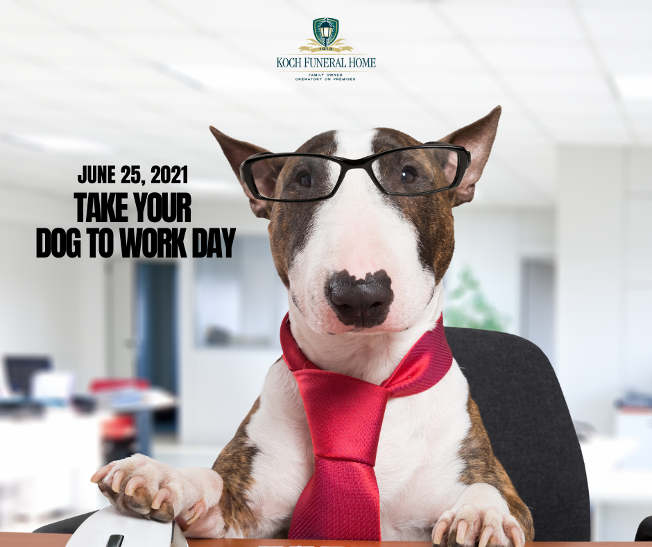 June 25 2021 - Take Your Dog to Work Day