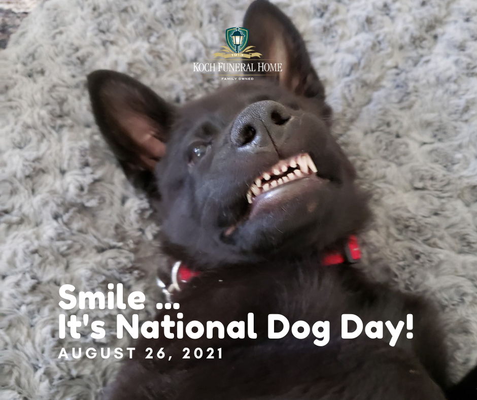 August 26, 2021 - National Dog Day