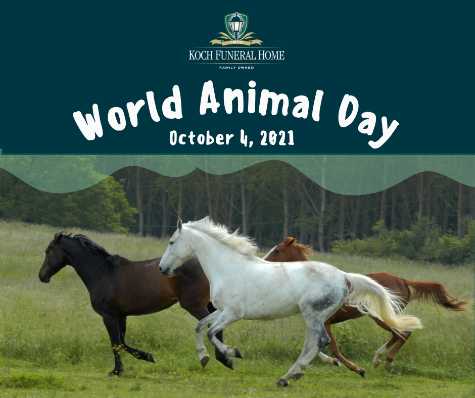 October 4 2021 - World Animal Day