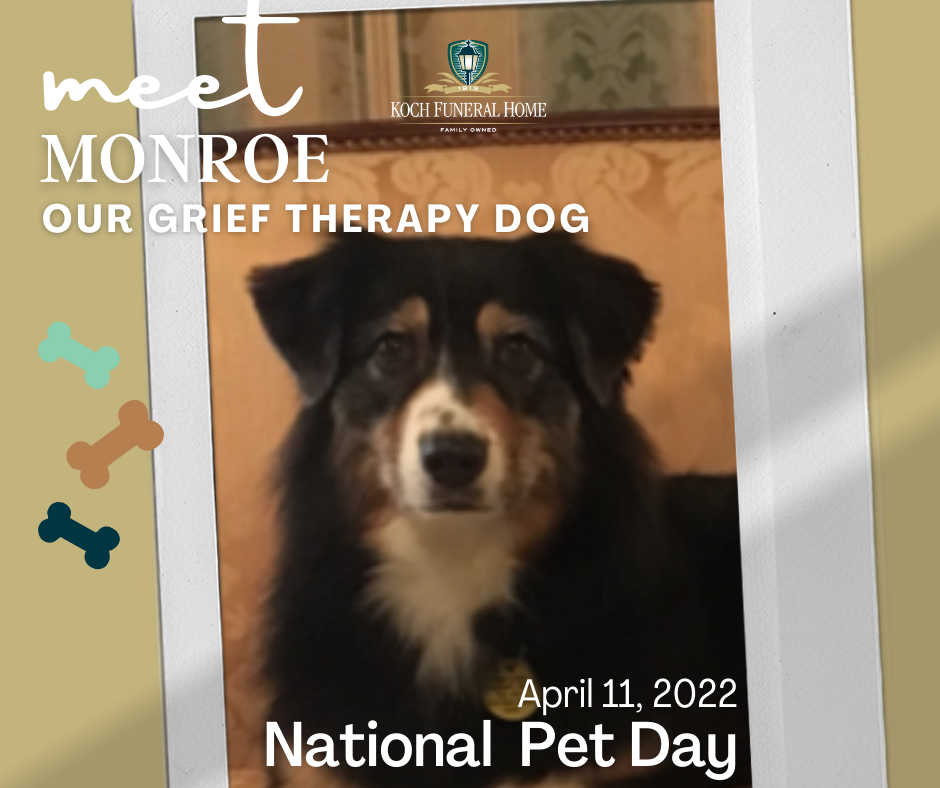 April 11 2022 - National Pet Day