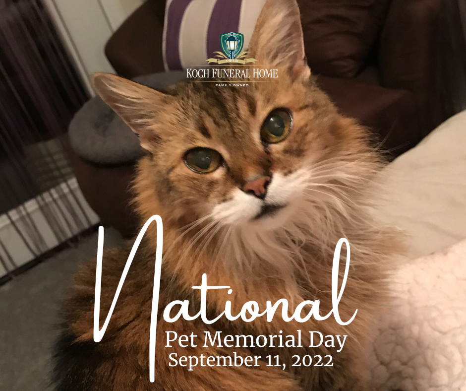 September 11 2022 - National Pet Memorial Day