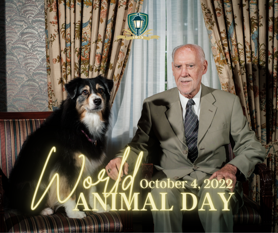 October 4 2022 - World Animal Day
