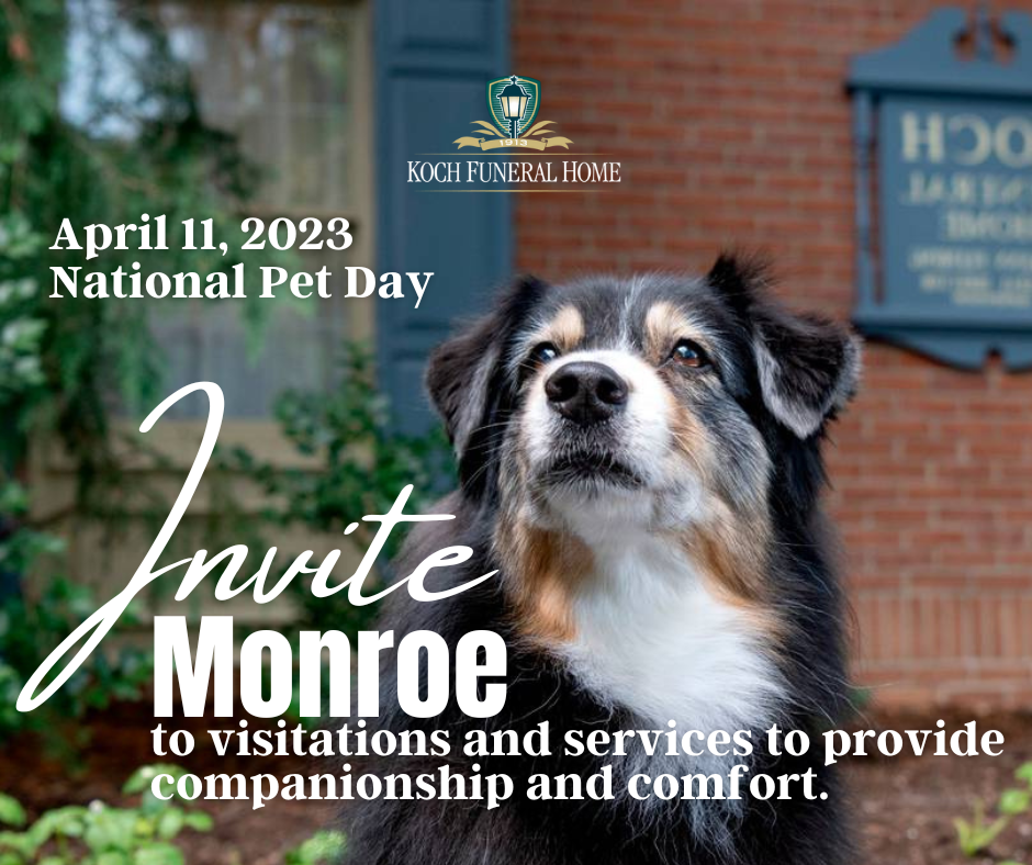 April 11 2023 - National Pet Day