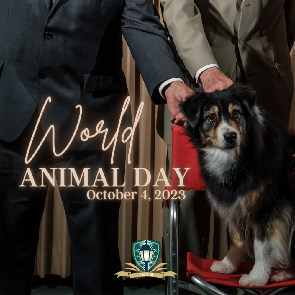 October 4 - World Animal Day