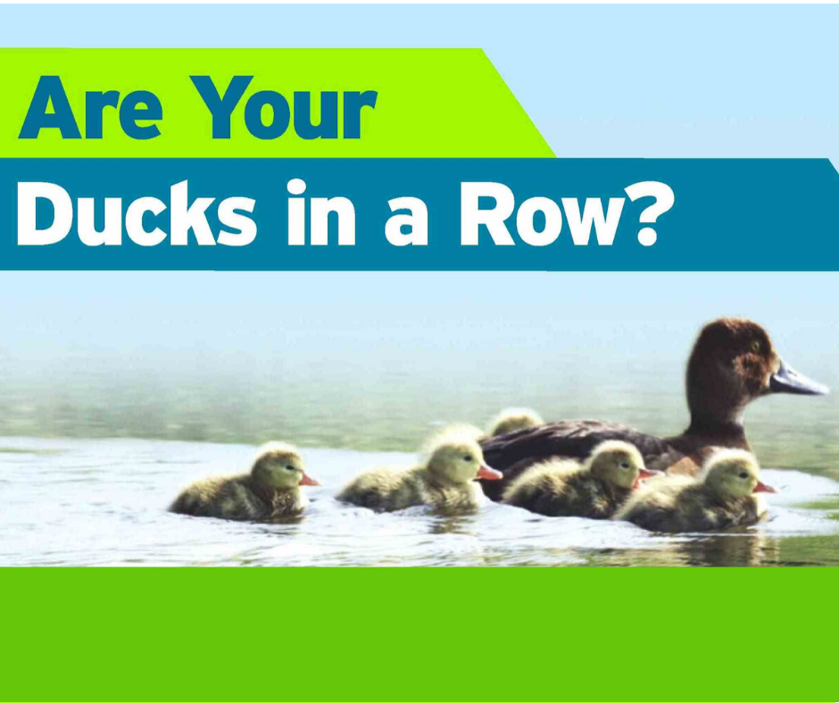 November 20 2019 - Estate Planning - Are Your Ducks in a Row? 