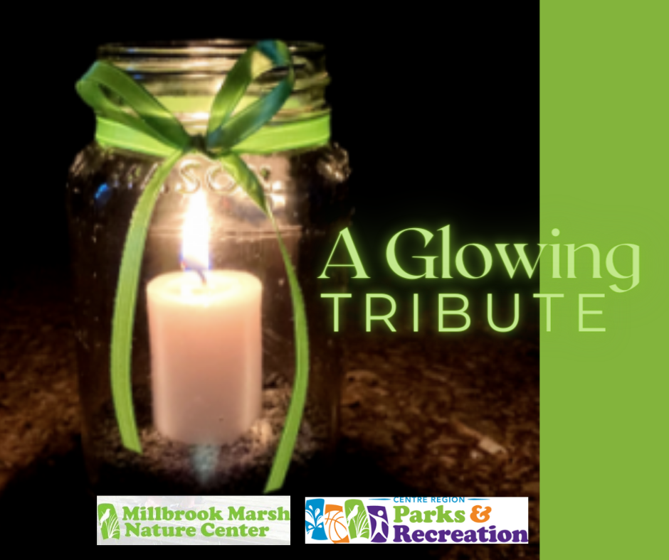 June 11 & 12 2021 - Glowing Tribute - Millbrook Marsh Walk